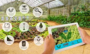 How Smart Farming with AI can Increase Yields